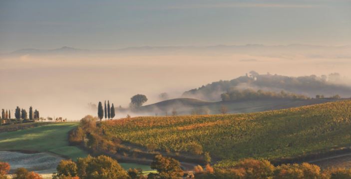 Castiglion Del Bosco - view