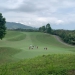 <h2>2023 Asia Golf Cruise</h2>17 Nights | 5 Rounds | Tokyo - Singapore | April 18 - May 5