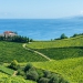 <h2>The Best of Northern Spain Escorted 2022</h2> 8 Nights | 4 Rounds | May 19 – 27