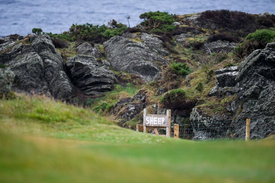 <h2>2016 Open Championship Golf Cruise ~ Royal Troon</h2>11 Nights Dublin - Southampton on <i>Azamara Quest</i> | 5 Rounds | Attend The Open on Sunday| July 11 - 22