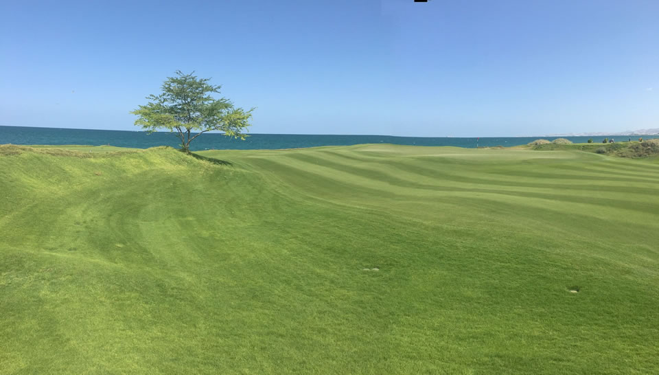 <h2>2017 Arabian Gulf & Emirates Golf Cruise</h2>10 Nights from Dubai to Dubai on Azamara Journey | 5 Rounds | November 14 – 24