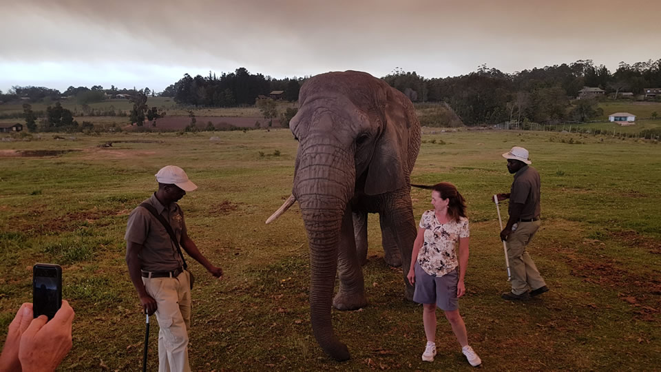 <h2>The Best of South Africa Escorted 2018</h2>Golf, Kruger Safari, Cape Town, the Winelands & Garden Route